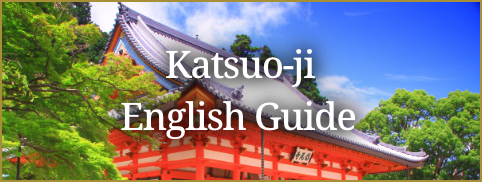 English Guide